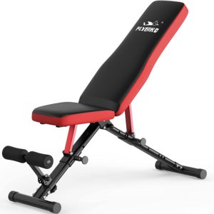 FLYBIRD Workout Bench