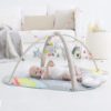 Skip Hop Baby Play Gym