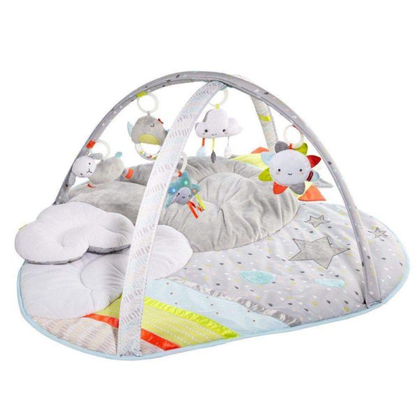 Skip Hop Baby Play Gym